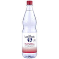 Bad Liebenwerda Mineralwasser Naturell – Flasche 1,0 l